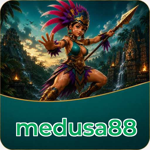 Troubleshooting - medusa88 Optimization Tips